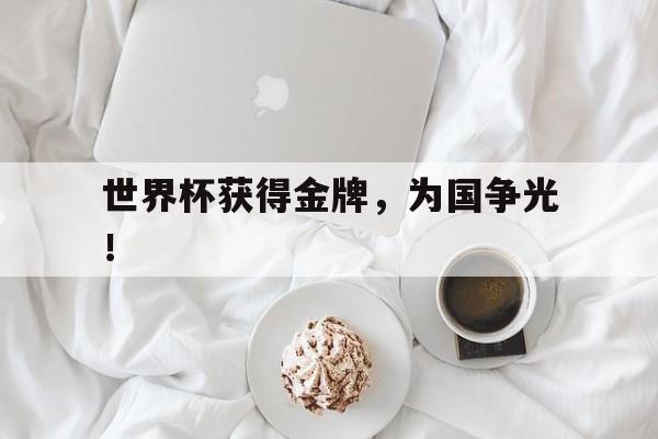Leyu-世界杯获得金牌，为国争光！