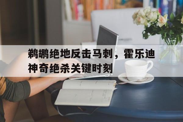 乐鱼-鹈鹕绝地反击马刺，霍乐迪神奇绝杀关键时刻